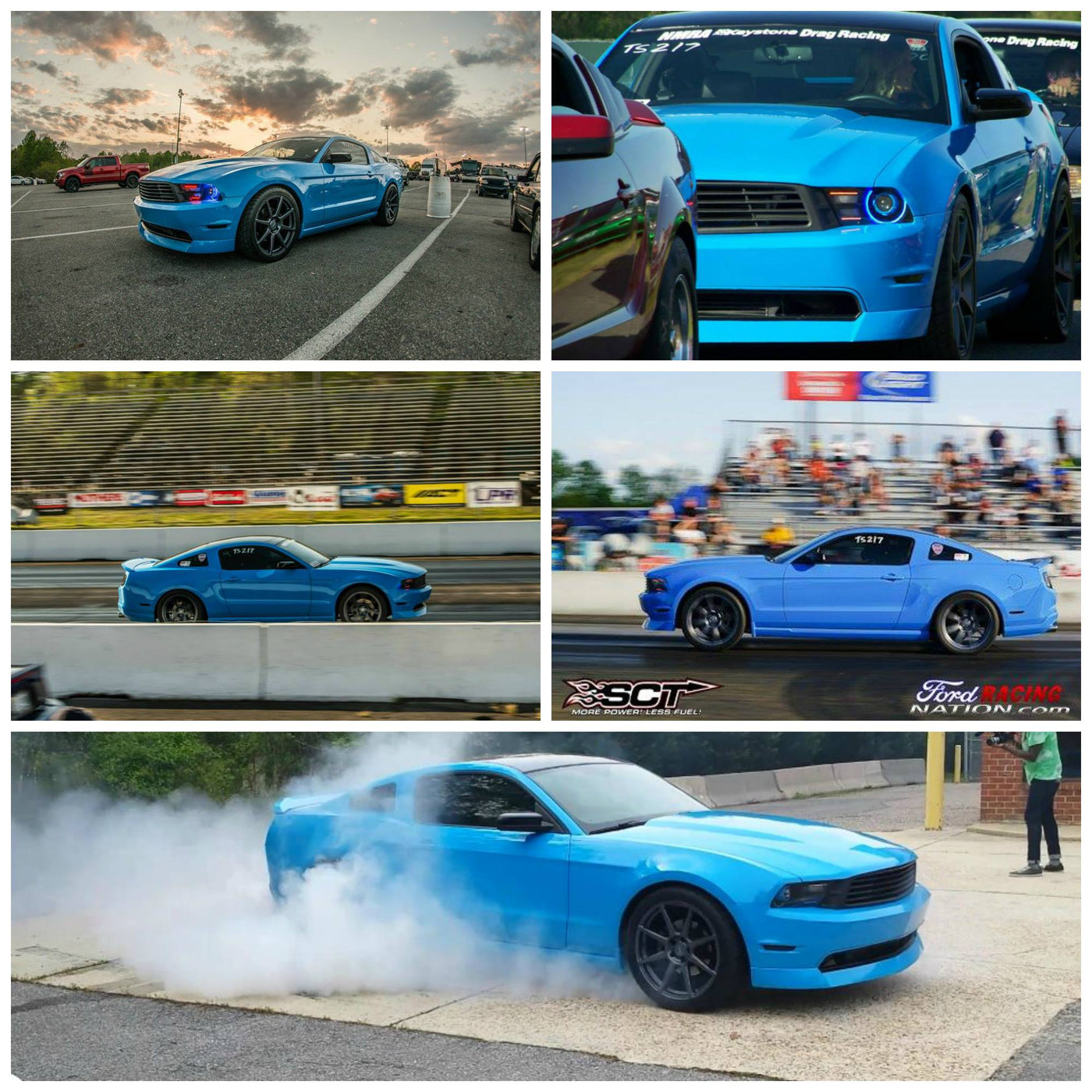 KRISTA GRABBER BLUE MUSTANG