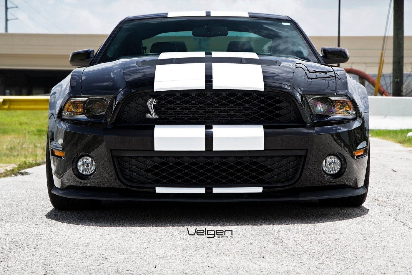Ford Shelby GT500 on Velgen VMB5
