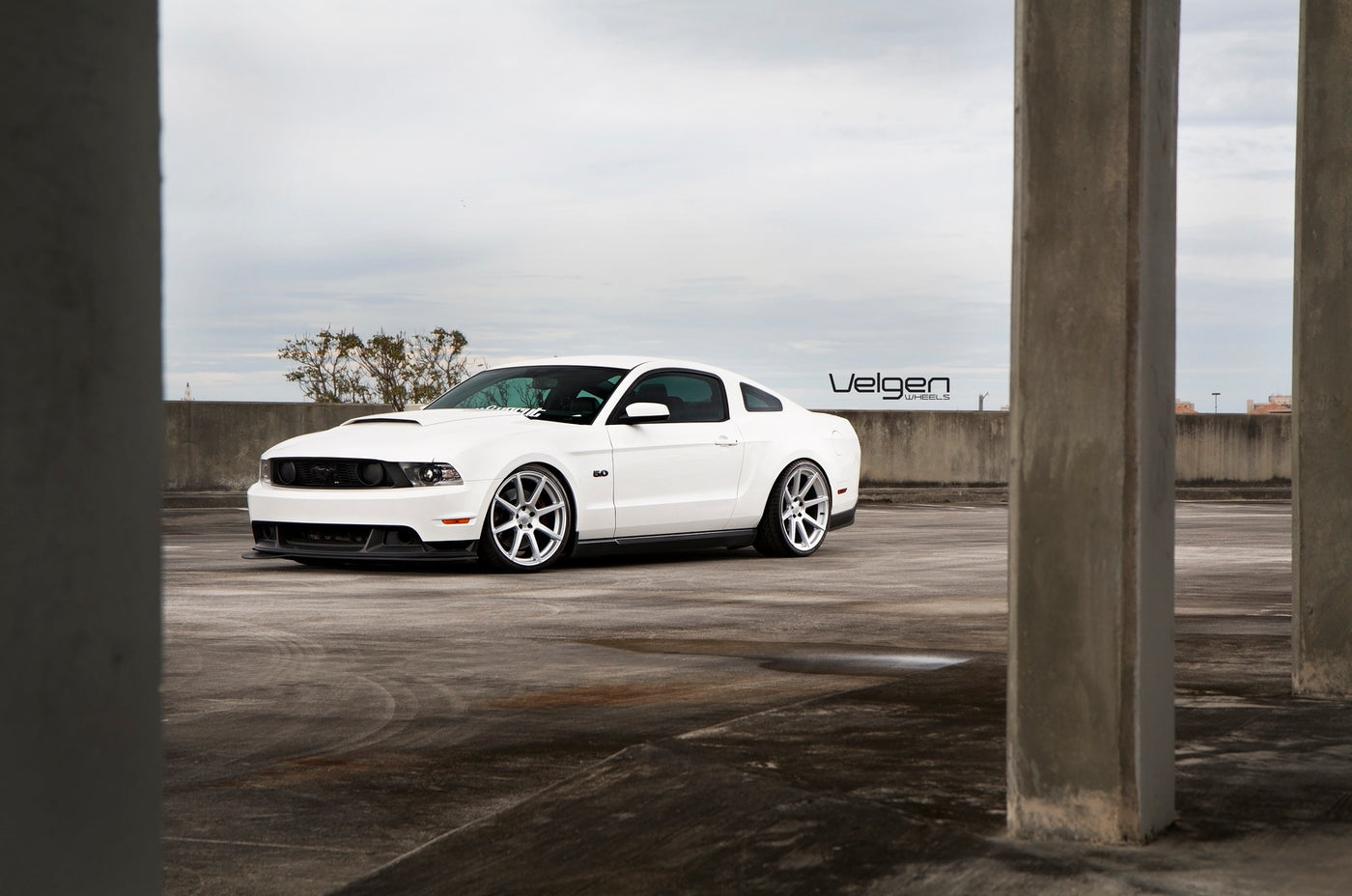 Ford Mustang GT 50.0 On VMB8